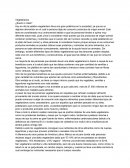 Ensayo del Vegetarianismo