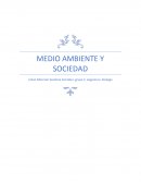 MEDIO AMBIENTE Y SOCIEDAD