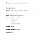 Trabajo Práctico Materia: condiciones y medio ambiente de trabajo