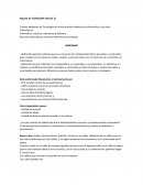TECNOLOGIA DE LA INFORMACION 2º Parcial