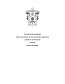 Laboratorio de Simulación Proyecto “Fábrica de zapatos”