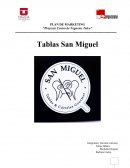 PLAN DE MARKETING “Proyecto Centro de Negocios Talca”