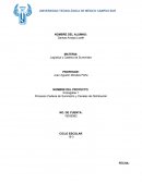 Procesos Cadena de Suministro y Canales de Distribución