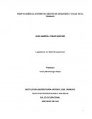 ENSAYO SOBRE EL SISTEMA DE GESTION DE SEGURIDAD Y SALUD EN EL TRABAJO