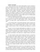 Líquido Cerebrospinal