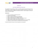 Actividad N°6 Caso Práctico Auditaría de IVA Proporcional