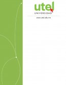 Estuctura de la Industria de la transformación