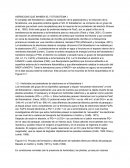 HERBICIDAS QUE INHIBEN EL FOTOSISTEMA I