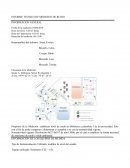 INFORME TECNICO DE MEDICION DE RUIDO