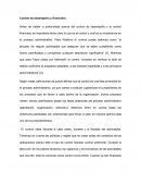 Control de desempeño y financiero