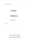 Didáctica Tema: Números Enteros