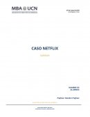 Informe CASO NETFLIX