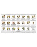 Actividad Somos tolerantes