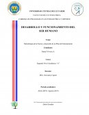 Metodología de la Fuerza y desarrollo de un Plan de Entrenamiento