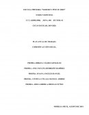 PLAN ANUAL DE TRABAJO. COMISIÓN ACCIÓN SOCIAL