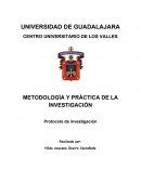 La mujer como emprendedora factor clave y de equilibrio de la economía familiar en el pueblo de Tequila Jalisco