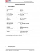 MODELO DE INFORME PSICOPATOLOGICO