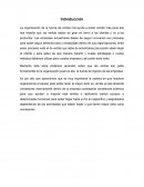 Ensayo organizacion de ventas