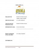 Administracion de la produccion GRUPO CHONG, S.A