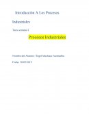 Estrategia de Proceso Productivo