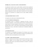 SIEMBRA DE LA PALMA DE ACEITE A SITIO DEFINITIVO