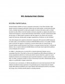 RESEÑA EMPRESARIAL KFC Kentucky Fried Chichen