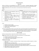 Control de la calidad Matriz RACI