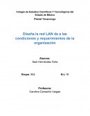 Diseña la red LAN de a las condiciones y requerimientos de la organización