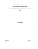 Enfoque de la teoría de siistemas