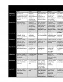 Estructura y organización animal y humana, cuadro