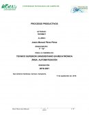 PROCESOS PRODUCTIVOS