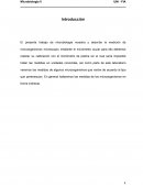 Lab. Microorganismos