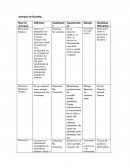 Jerarquía de Boulding