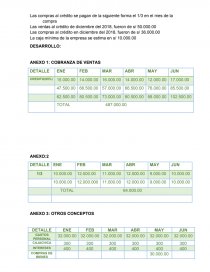CASO PRÁCTICO INUMAS SAC. Página 2