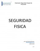 Seguridad Fisica
