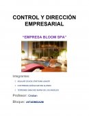 Resumen ejecutivo del spa “BLOOM SPA”