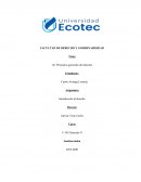 Principios generales del derecho. Principios jurídicos básicos