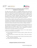 Bases legales de donde nace la iniciativa de la Atención Educativa Hospitalaria en Latinoamérica