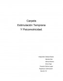 Carpeta Estimulación Temprana Y Psicomotricidad