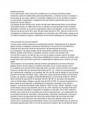 Evidencia 1. Como funciona una economia abierta?