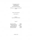 Primer Avance del proyecto Grupo Vargas S.A.