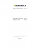 Generalidades del análisis financiero