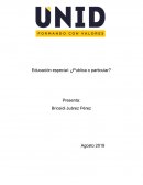 Educación especial: ¿Publica o particular?
