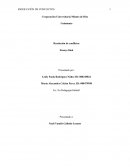 Resolución de conflictos