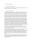 Analisis luis carlos sarmiento