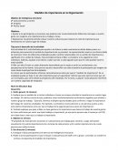 Medidor de Importancia en la Organización