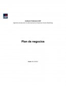 Plan de negocio aplicacion movil
