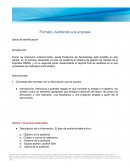 Formato: Auditando a la empresa