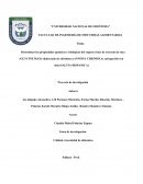 Determinar las propiedades químicas y biológicas del yogurt a base de extracto de soya INDICE
