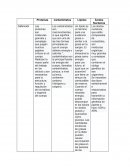 Biologia :Proteínas Carbohidratos Lípidos Ácidos Nucleicos